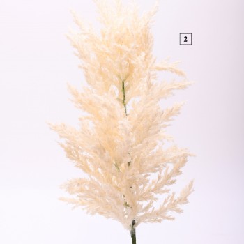 Κλαδί Pampas 70cm